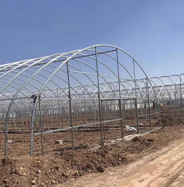 گرین ہاؤس پائپس